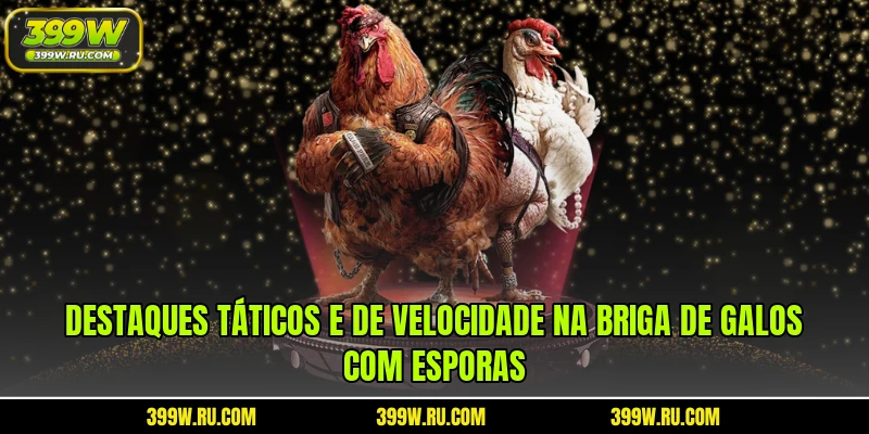 Destaques táticos e de velocidade na briga de galos com esporas