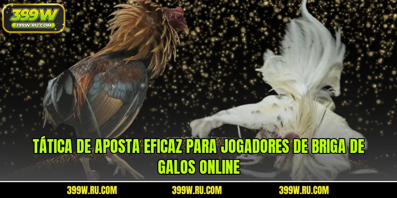 Tática de aposta eficaz para jogadores de briga de galos online